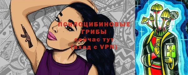 прущий лед Алексин