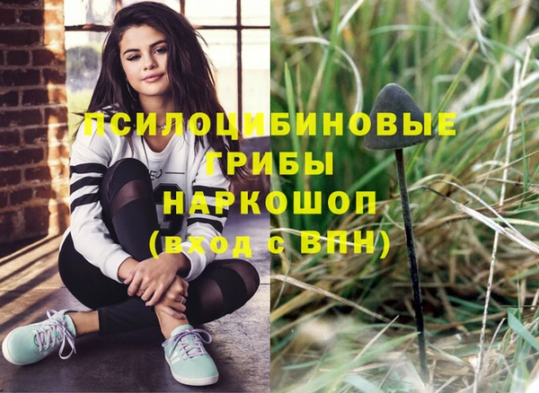 ALPHA PVP Покров