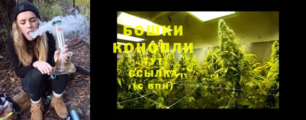 ALPHA PVP Алексеевка