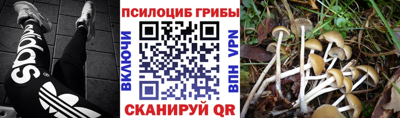 Псилоцибиновые грибы MAGIC MUSHROOMS  Джанкой 