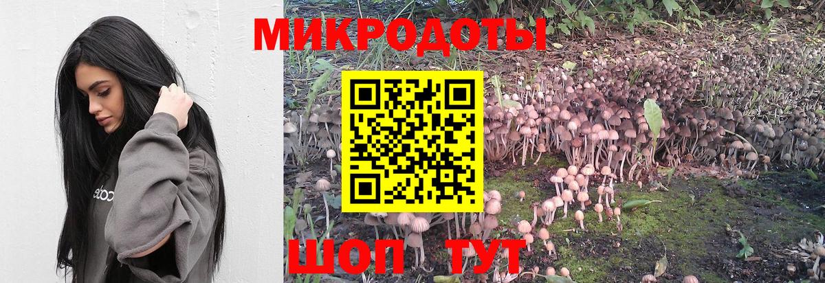 Псилоцибиновые грибы Cubensis  Вход с VPN  Джанкой  Псилоцибиновые грибы Magic Shrooms 